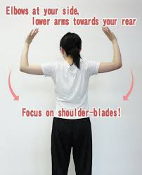 Pin By Mandie Ross On Working Out Muscle Knots Scapula Exercises Exercise