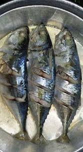 #7 masak lemak putih ikan kembung. Masfit Resepi Ikan Kembung Kukus Air Asam Pedas Facebook