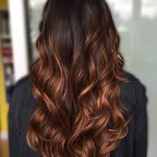 Dark brown hair + vibrant red highlights. How To Get Chestnut Hair Color Fall S Toastiest Hair Trend Hair Com By L Oreal