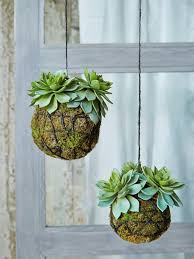 Whether that's simply popping a readymade arrangement on your patio or planting a flowering bush into the soil. Oddish Planter Hanging Plants Outdoor Artificial Plants Plants