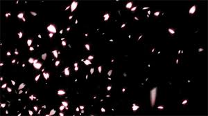 Gif is the internet's favorite image file type due to png (portable network graphics). 10 Anime Wallpaper Png Gif Anime Top Wallpaper