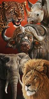 Big Five Portrait 1 By Dawie Mocke Flootie Com South African Animals Africa Animals African Animals