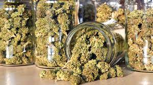 The Proper Way To Cure Weed - Wikileaf