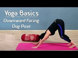 Downward Dog Pose Step By Step Adho Mukha Shvanasana Yoga For Beginners Yoga With Aj Youtube