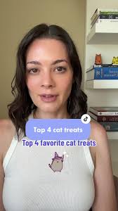 Trader Joes Chicken and Bone Broth Treat for Cat