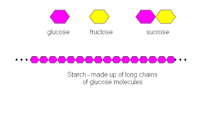 Difference between micronutrients and macronutrients nutrients are chemical substances that are required for the proper functioning of cells, tissues and different organs in all living organism. Gcse Biology Macronutrients