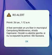 Canalele folosite pentru trimiterea mesajelor sunt urmatoarele Ro Alert A Fost Semnalat Un Urs Liber In Municipiul Campulung Moldovenesc