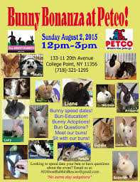 Find an adoptable pet near you. Rabbit Adoption And New Jersey House Rabbit Society Facebook