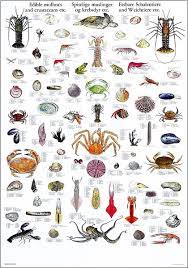 Tramite questo suggeritore di parole potrai trovare tutti nomi più difficili come ad esempio animali con la q, si basa su un completissimo dizionario italiano che comprende oltre 700 mila termini. Tavola Molluschi E Crostacei Commestibili Libreria Del Mare