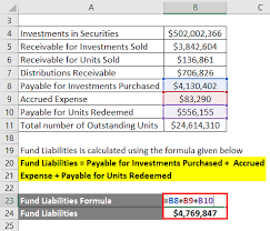To standardize the value of assets to every unit, this value is then divided by the total number of outstanding units to yield the net asset value. Net Asset Value Formula Calculator Examples With Excel Template