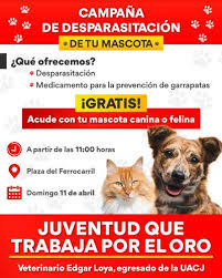 Alumnos próximos a egresar, por favor de verificar su correo de la uacj, ya que se les proporcionará detalles de su próxima inscripción. Realizaran En El Oro Desparasitacion Gratuita De Perros Y Gatos El Sol De Parral Noticias Locales Policiacas Sobre Mexico Chihuahua Y El Mundo