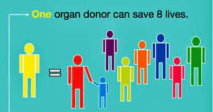Today we will look at : Organ Donation Should Organ Donation After Death Be Encouraged Steemit