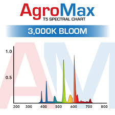 agromax 4 foot t5 bloom bulbs 3000k