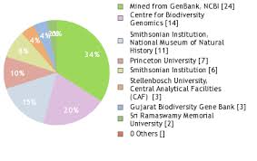 Image result for Blepharis diversispina