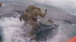 We all live in a narco submarine, narco submarine, narco submarine. Submarine Carrying 12 000 Pounds Of Cocaine Worth 165m Seized By Coast Guard