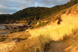 Strawberry hill is a mountain in oregon and has an elevation of 22 metres. A Trippy Central Oregon Coast Labyrinth Strawberry Hill Near Yachats Upper Lane County Virtual Tour
