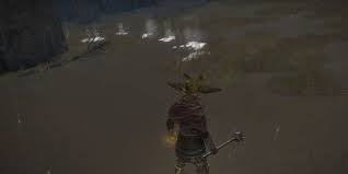 Elden Ring Glowing Trails Guide: How To Find & Stop Invisible Dung Beetles