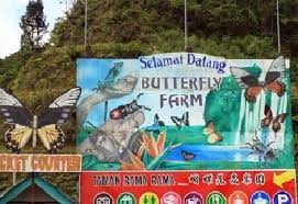 6.6.18 went to the butterfly farm at cameron highlands song not mine song: Butterfly Farm Local Tour Daytrips Sightseeing Packages Easybook My