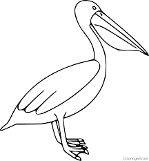 Print pelican coloring page (color). Easy Simple Pelican Coloring Page Coloringall