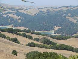 Tilden regional park, 2501 grizzly peak boulevard, orinda, ca, 94563. Tilden Regional Park Berkeley 2021 All You Need To Know Before You Go Tours Tickets With Photos Tripadvisor