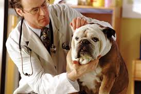 We did not find results for: Mezhdunarodnyj Den Veterinarnogo Vracha Kogda I Kakogo Chisla Otmechayut V 2021 I 2022 Godu Data I Istoriya Prazdnika Mir Kosmosa
