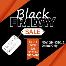 Screaming Eagle Aerial Adventures At Amicalola Falls State Park and Lodge