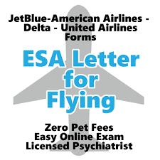 But first, it's better to know all the policies about the flight you want to fly with. Delta Airlines New Esa Requirements Touch
