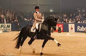 Edward gal and totilas, the black grand prix dressage stallion, dominated the world of dressage for several years. Totilas Magische Momente Rekorde Equestrian Worldwide Pferdesport Weltweit Eqwo Net