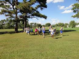Middle School Runners Compete At Mtn. Grove Open Cross Country Event
