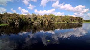 Just off the beautiful st. Cruise The Unspoiled St Johns River On A Luxury Paddle Wheeler Visit Florida