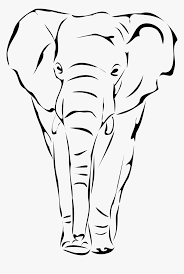 Now we are coming over to the net stage on how to draw an elephant face. Elephant Line Sketch Drawing Elephant Face Hd Png Download Kindpng