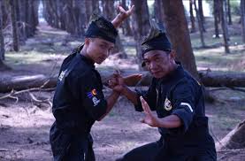 Wittgenstein (1953) menegaskan bahawa makna perkataan adalah penggunaan perkataan dalam menurut teori ini, makna perkataan dianalisis bukan secara satu unit, tetapi dalam hubungan. Pendekar Muda Iltizam Atau Komitmen Kata Iltizam Ialah ÙÙŠØ³Ø¨ÙˆÙƒ