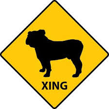 Bullie Xing English Bulldog Bulldog Crossing Sign