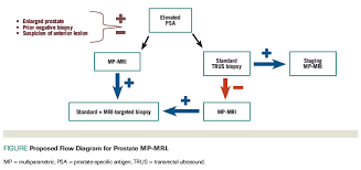 prostate cancer in dogs is a rare but deadly form of cancer that can easily metastasize and spread to other organs and areas of the body, including the lungs, bones, and lymph nodes. When To Order An Mri In The Initial Evaluation And Management Of Prostate Cancer