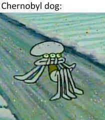 Cat meme of the decade. Dopl3r Com Memes Chernobyl Dog