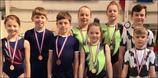 Burnham-On-Sea and Highbridge gymnasts win haul of medals