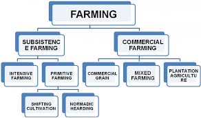 Class Viii Chapter 5 Agriculture Question And Answers