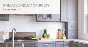 Discount Kitchen Cabinets Online Rta Cabinets At Wholesale Prices Kitchen Cabinets Kitchen Cabinet Kings Kitchen Cabinets Prices