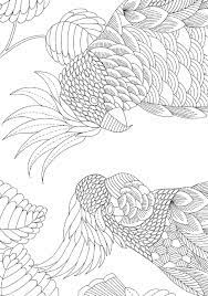 Pin On Coloring Birds