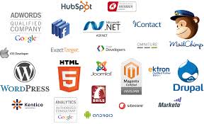 Silicon Valley Have An Expert Team Of Web Designers And Developers Who Have Hands O Interactive Web Design App Development Companies Company Logos And Names