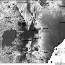 Image result for Warburgia ugandensis