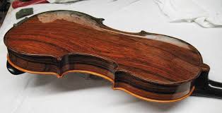 Brazilian Rosewood Violin Violin Wood Concept