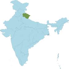 Image result for Phacelurus