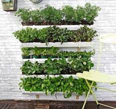 Huerto Vertical En La Pared Jardines Verticales Hacer Jardin Vertical Jardin Urbano