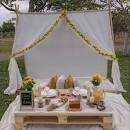 Resultado de imagen para idea negocio picnics