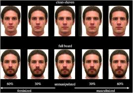 English vocabulary to talk about facial hair (moustache & beard styles). Do Women Find Beards Attractive