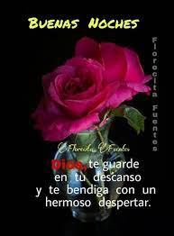 Descubre Las Mejores Imagenes De Buenas Noches Https Sarcasmofrases Net Des Imagenes De Buenas Noches Rosas De Buenas Noches Mejores Frases De Buenas Noches