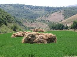 Main about uzbekistan nature of uzbekistan the nature of uzbekistan. Uzbekistan Nature Photography Landscape Photos Free Photos Foto Pejzazha Fotografiya Gor