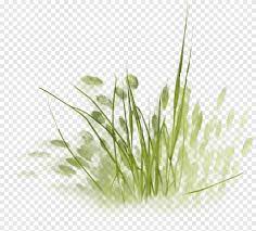 Check spelling or type a new query. Ilustrasi Rumput Hijau Lukisan Menggambar Arsitektur Rumput Lukisan Cat Air Lanskap Png Pngegg