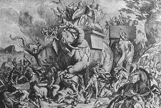 War Elephant